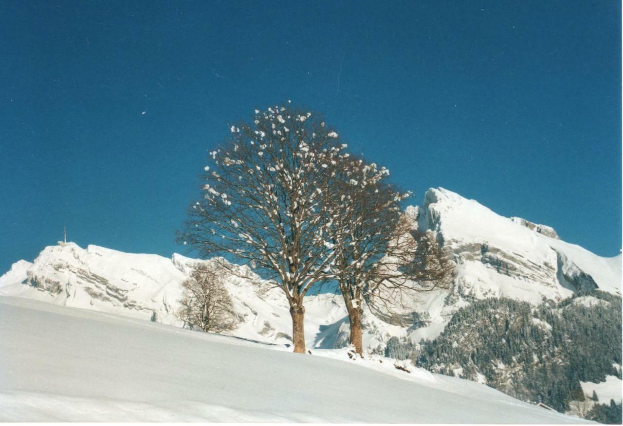 Ferienhaus Gubel Alt St. Johann Exteriör bild